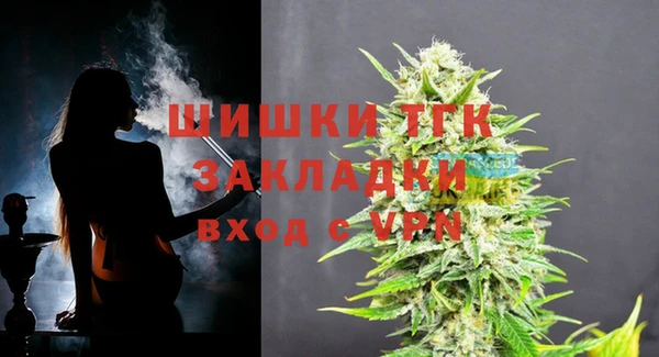 МДПВ Рославль